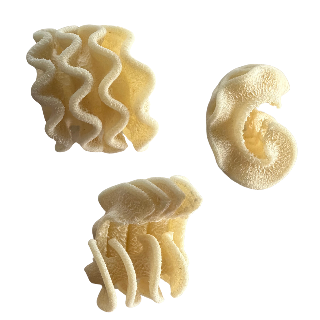 Radiatori Pasta